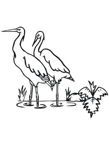 Two Storks Coloring Page